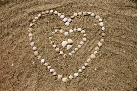 Seashells on the sand in the form of heart Stock Photos