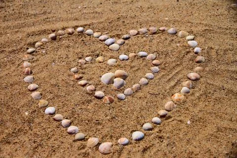 Seashells on the sand in the form of heart Stock Photos