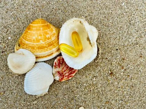 Seashells on the sand Stock Photos