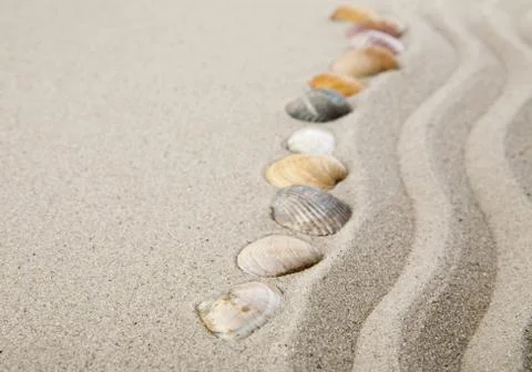 Seashells on sand for relaxation as background Stock Photos