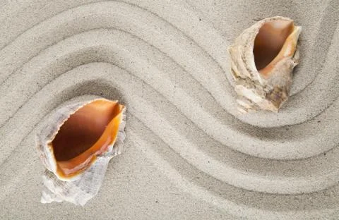 Seashells on sand for relaxation as background Stock Photos