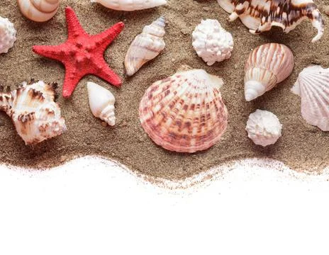 Seashells on the sand Seashells on the sand as a backgorund Copyright: xZo... 库存照片