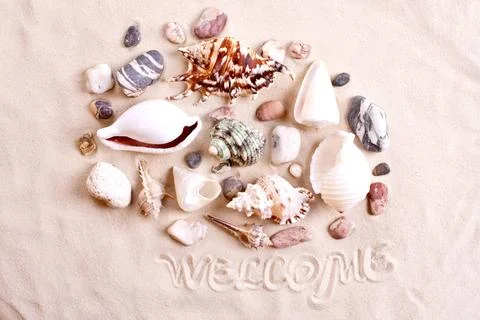 Seashells in sand with text seashells in sand with text as a background Co... Stock-Fotos