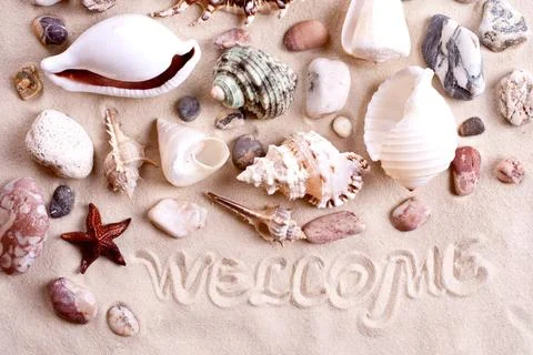 Seashells in sand with text seashells in sand with text as a background Co... Stock-Fotos