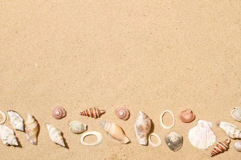 Seashells on the sand in a top view with copy space Stock Photos