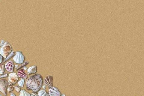 Seashells on Sandy Beach With Copy Space Background Stock Photos