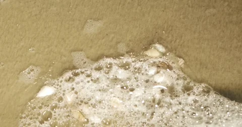 Seashells on sandy beach with gentle waves rolling in Stock Footage 337229582