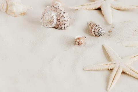 Seashells on sandy beach texture background with copy space. Summer vacation bac Stock Photos