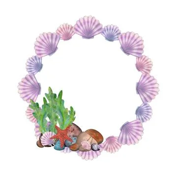 Seashells scallops, rock bottom with algae and starfish. Watercolor, hand drawn Stock Illustration