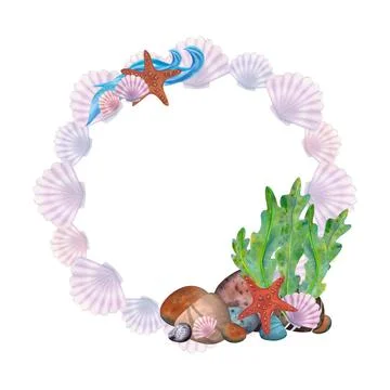 Seashells scallops, rock bottom with algae and starfish. Watercolor, hand drawn Stock Illustration