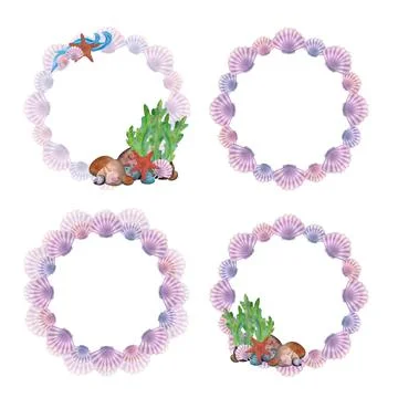 Seashells scallops, rock bottom with algae and starfish. Watercolor, hand drawn Stock Illustration