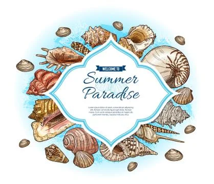 Seashells, sea shells and conches. Summer paradise Stock Illustration
