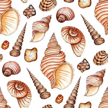 Seashells seamless pattern Illustrazione stock