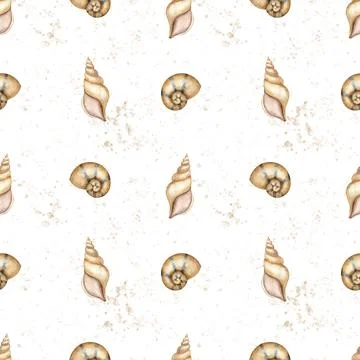 Seashells seamless Pattern on isolated background. Hand drawn watercolor Stock Illustration