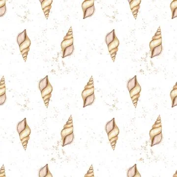 Seashells seamless Pattern on isolated white background. Hand drawn watercolor 스톡 일러스트