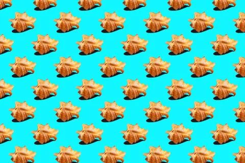 Seashells seamless pattern Stock Photos