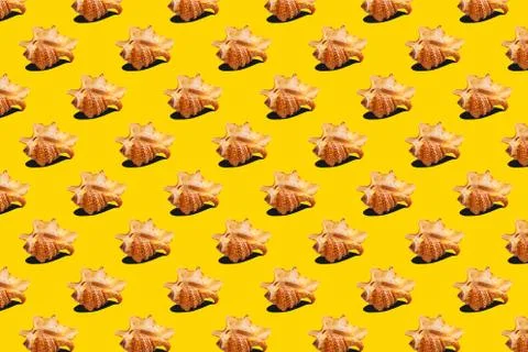 Seashells seamless pattern Foto stock