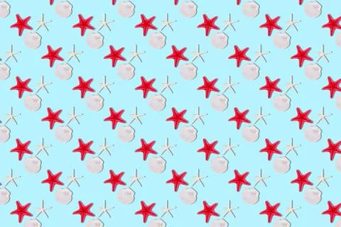 Seashells seamless pattern Stock Photos