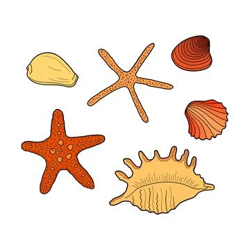 Seashells set. Collection of sea shells different forms. Hand-drawn vector co Stock Illustration
