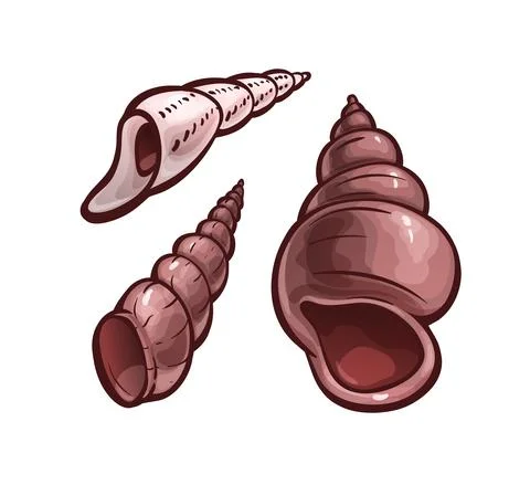 Seashells set. Marine animal shells, cartoon art Stock Illustration