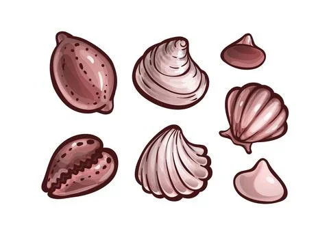 Seashells set. Marine animal shells, cartoon art Illustrazione stock
