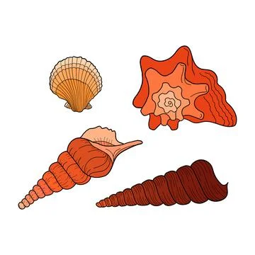 Seashells set. Marine set. Collection of sea shells different forms. Hand-dra 스톡 일러스트