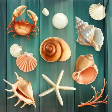 Seashells, set vector icons Stock Illustration