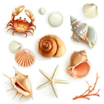 Seashells, set vector icons Stock Illustration