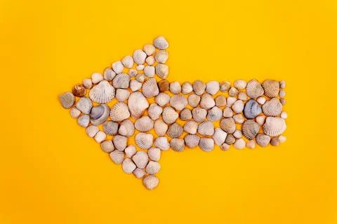Seashells in shape of arrow. Summer concept. Stock Photos