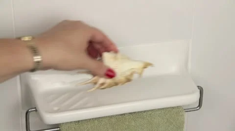 Seashells On Shelf Stock Footage 10892278