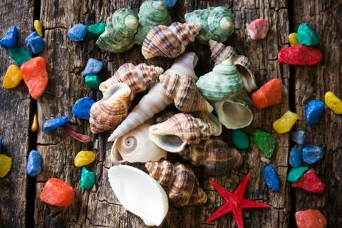 Seashells, shell, clams with colored stones on a wooden table Stock Photos