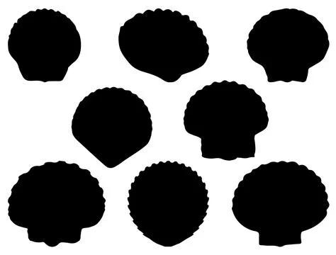 Seashells silhouette vector art Stock Illustration