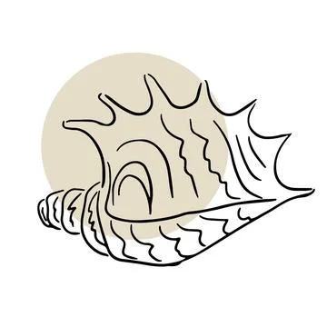 Seashells sketch set. Vector graphics. Hand drawn line illustration. For design Illustrazione stock