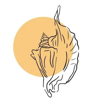 Seashells sketch set. Vector graphics. Hand drawn line illustration. For design Stock Illustration