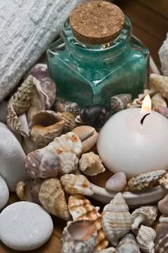 Seashells in the spa. Stock Photos