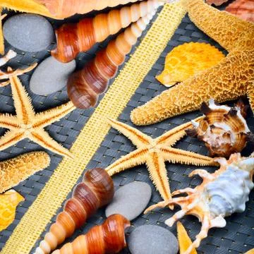 Seashells, starfish, pebbles on blue background Stock Photos