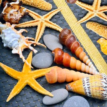 Seashells, starfish, pebbles on blue background Stock Photos