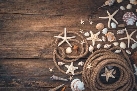 Seashells, starfish of various types and shapes, a rope on a brown wooden bac Foto stock