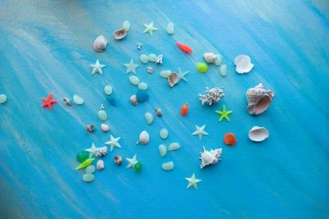 Seashells summer background. Many different seashells, starfish on a background Stock Photos