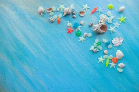 Seashells summer background. Many different seashells, starfish on a background Stock Photos