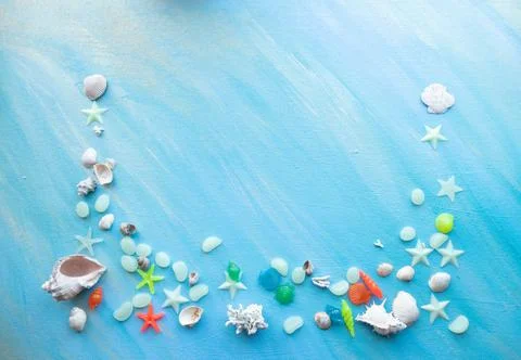 Seashells summer background. Many different seashells, starfish on a backgrou Stock Photos