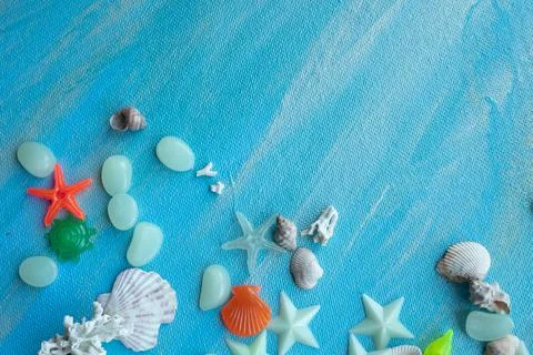 Seashells summer background. Many different seashells, starfish on a backgrou Stock Photos