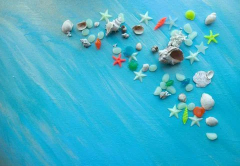 Seashells summer background. Many different seashells, starfish on a backgrou Stock Photos