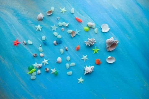 Seashells summer background. Many different seashells, starfish on a backgrou Stock Photos