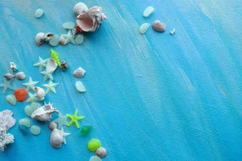 Seashells summer background. Many different seashells, starfish on a backgrou Stock Photos