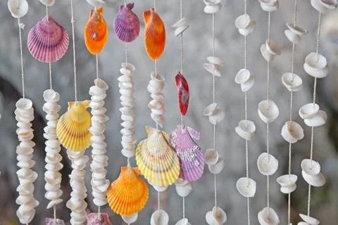 Seashells on thread background Stock Photos