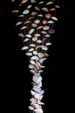 Seashells on thread background on tropical resort Stock Photos