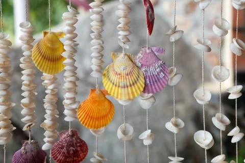 Seashells on threads Foto stock