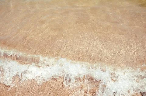 Seashells top view. Shell close-up. Ocean coast. Summer pattern from seashell Stock Photos