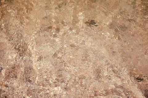 Seashells top view. Shell close-up. Ocean coast. Summer pattern from seashell Stock Photos